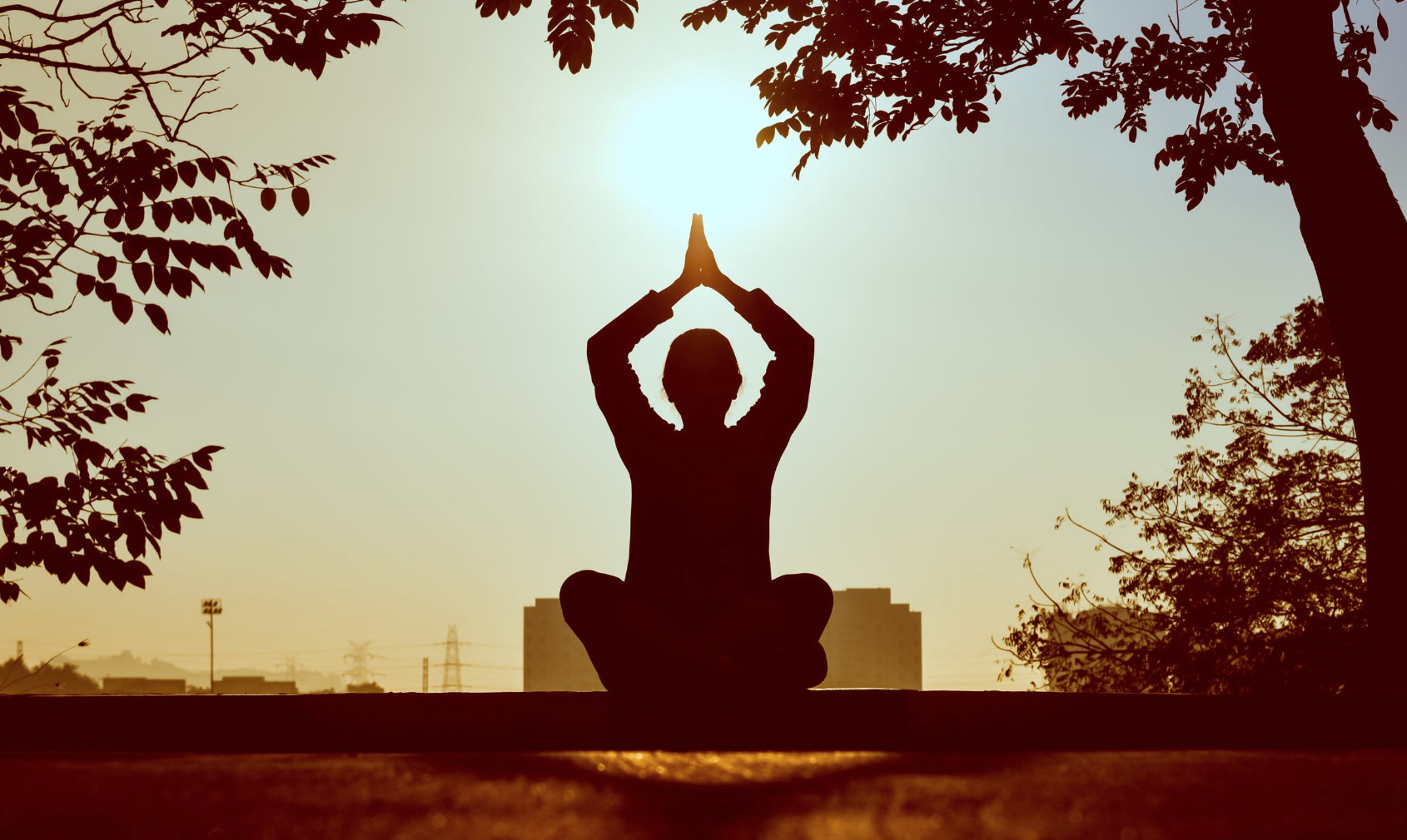 Sports & Physical Fitness